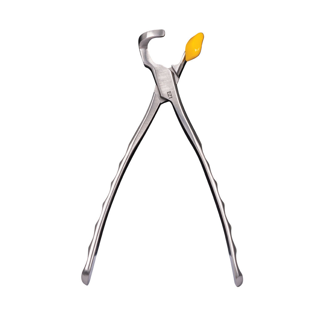 Directa Physics Forceps  Molar Series GMX 400EZ1 Each