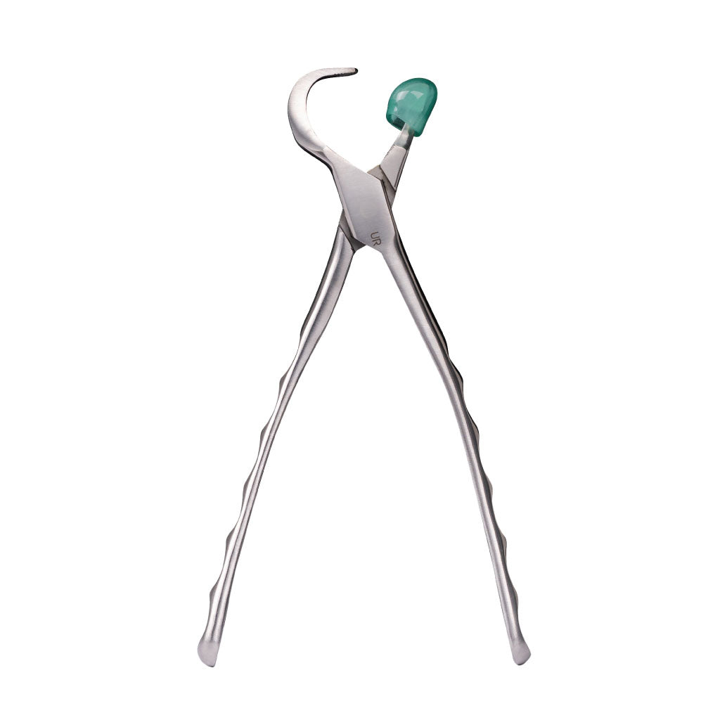 Directa Physics Forceps Standard Series Upper Right GMX100 Each