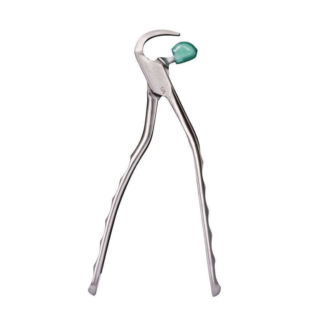 Directa Physics Forceps Standard Series Upper Anterior GMX100 Each