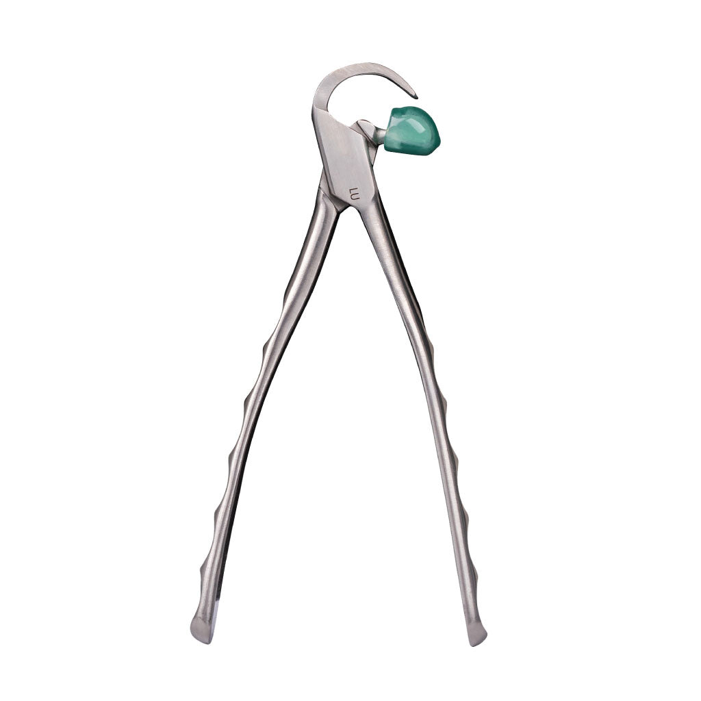 Directa Physics Forceps Standard Series Lower Universal GMX200 Each