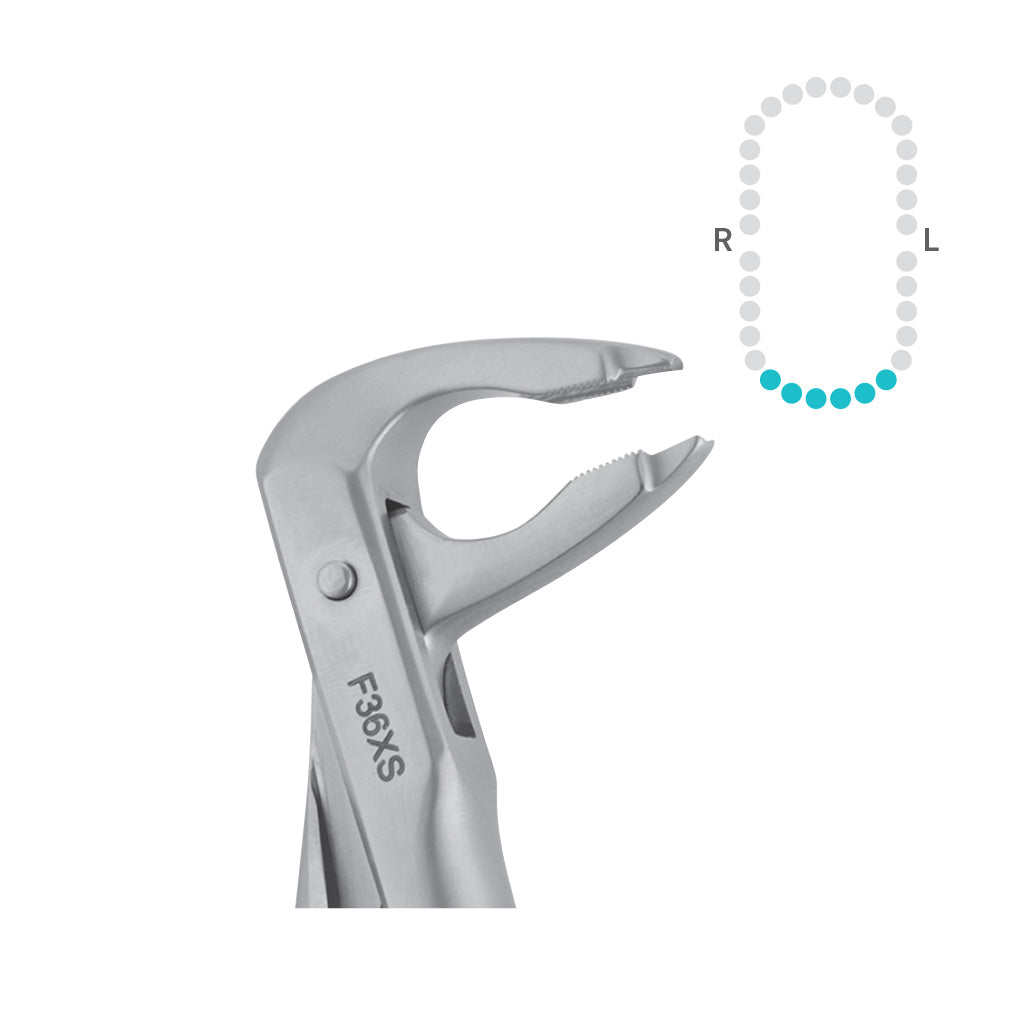 Hu-Friedy 36 Forceps, Lower Incisors &amp; Canines, Atraumair Each