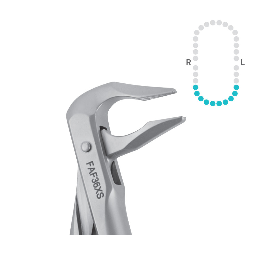 Hu-Friedy 36 Apical Forceps, Lower Premolars, Canines and Incisors, Atraumair Each