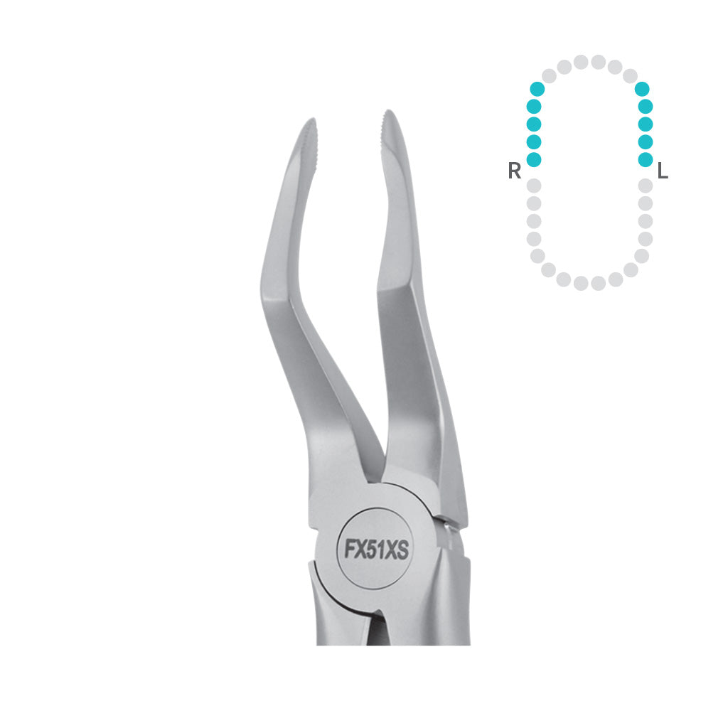 Hu-Friedy 51 Atramair Root Forceps, Serrated, Upper Each