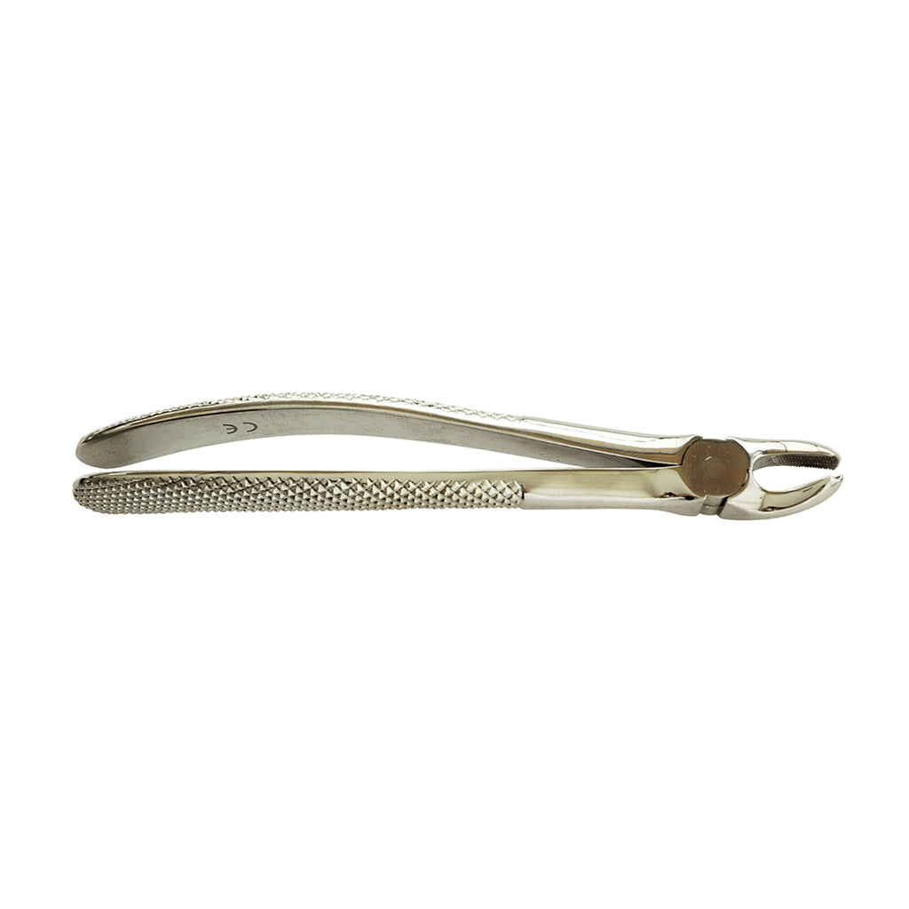 HS Extracting Forcep 