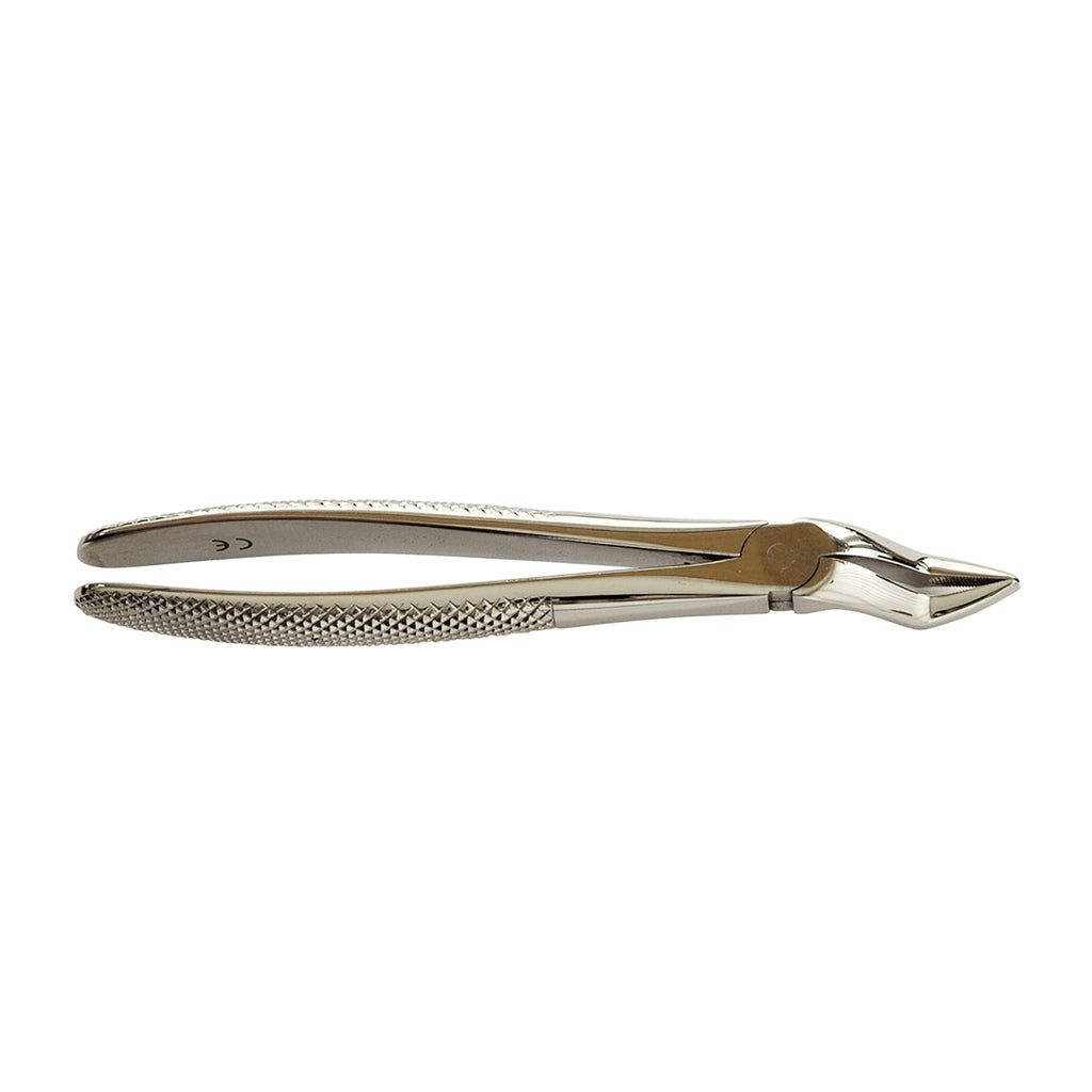 HS Extracting Forcep 