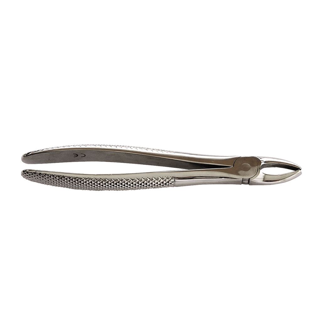 HS Extracting Forcep 