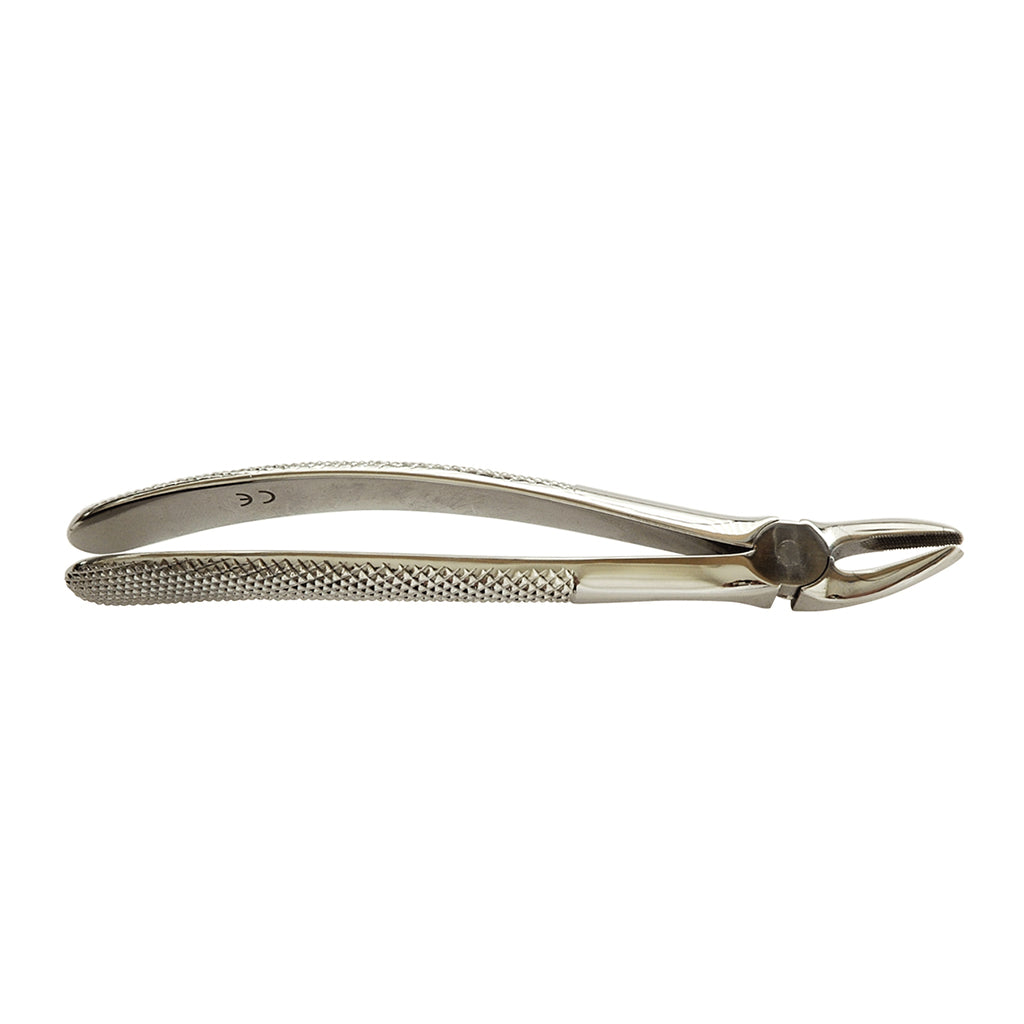 HS Extracting Forcep 