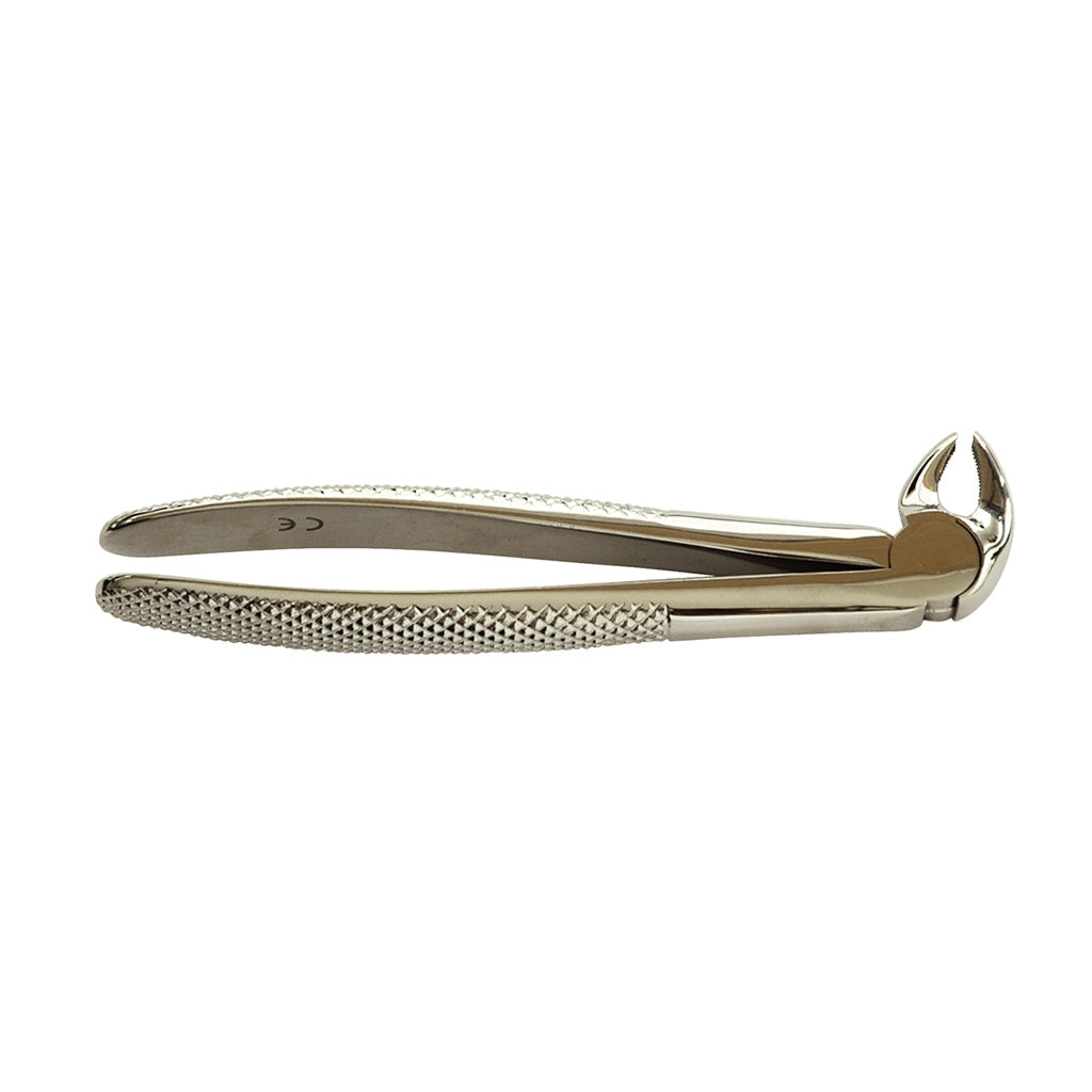 HS Extracting Forcep 