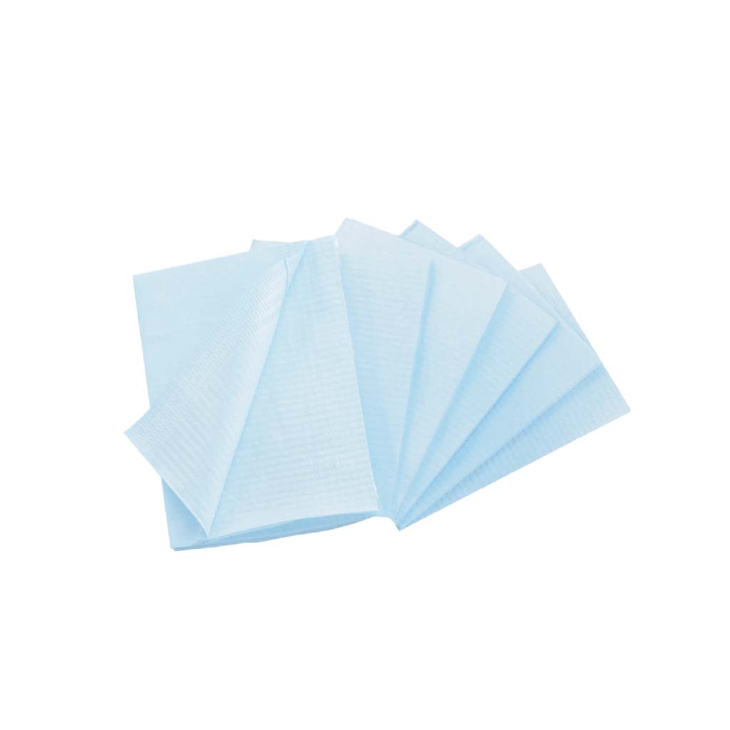 HS Dental Bibs 13&#39;&#39; x 18&#39;&#39; Blue 500/Case